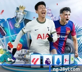 ng28 APP 界面